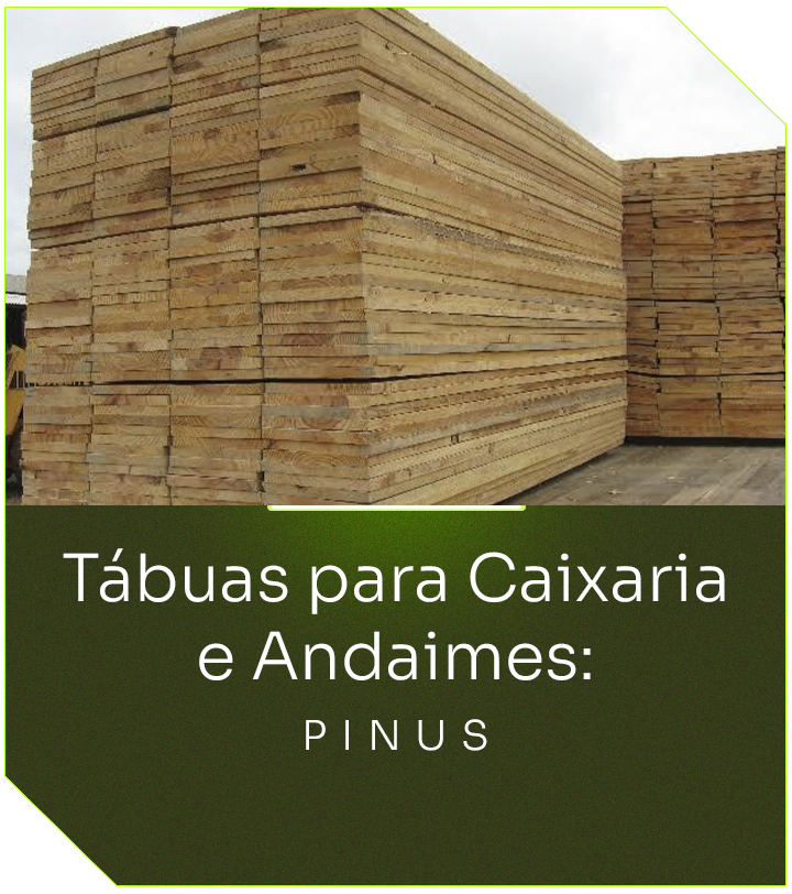 Caixaria