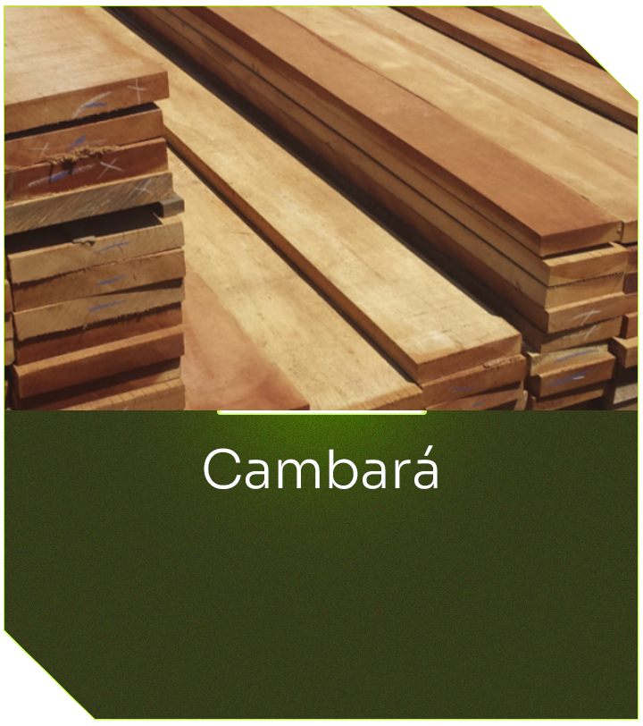 Cambará